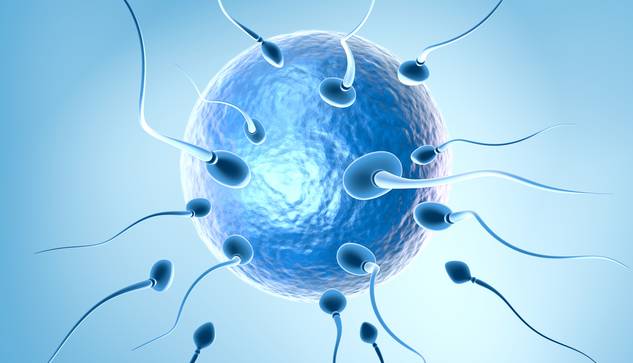 ©ag visuell/stock.adobe.com